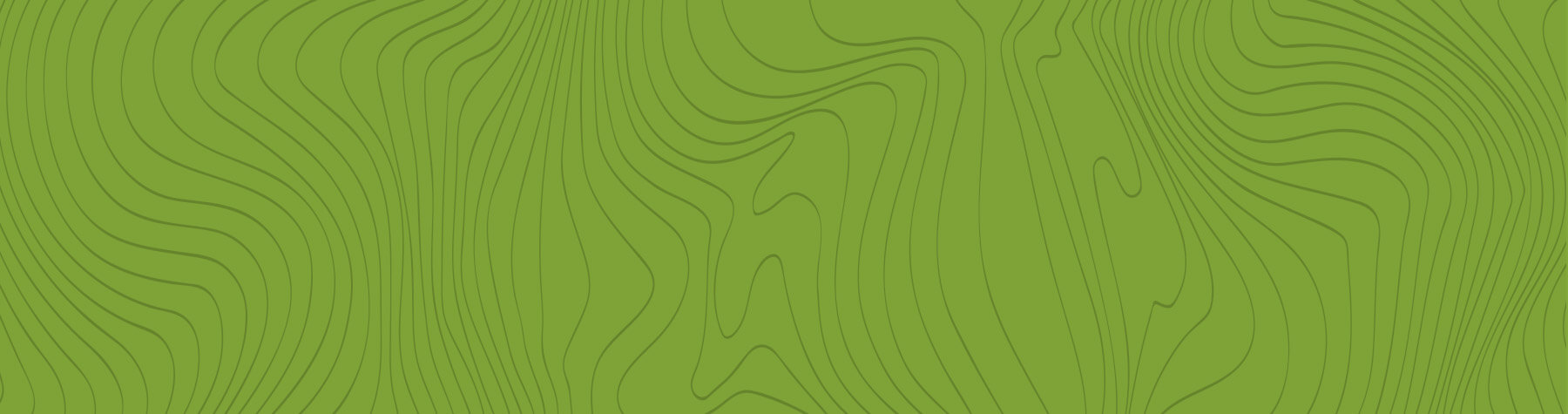 Fond vert avec des lignes